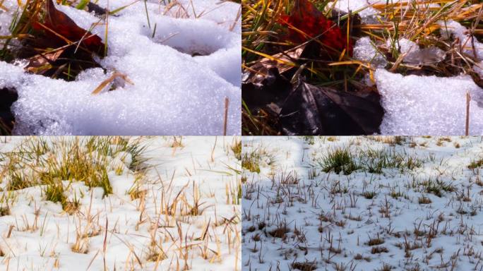 雪融化延时高清