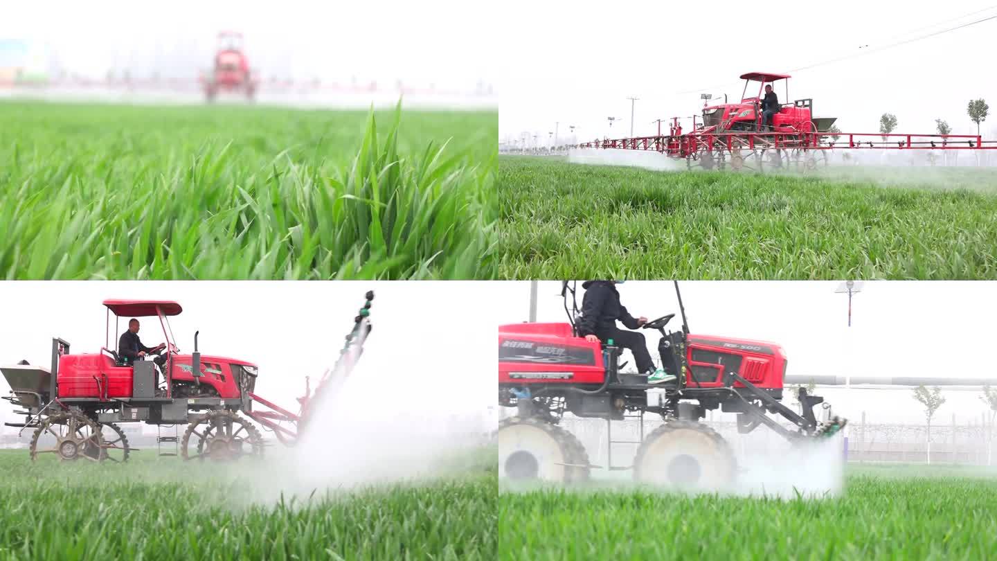 喷洒农药 打农药 机械打药 春季麦田管理