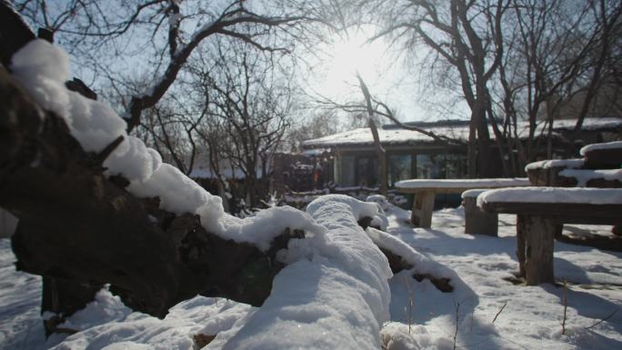 庭院雪景-蓝天树枝积雪