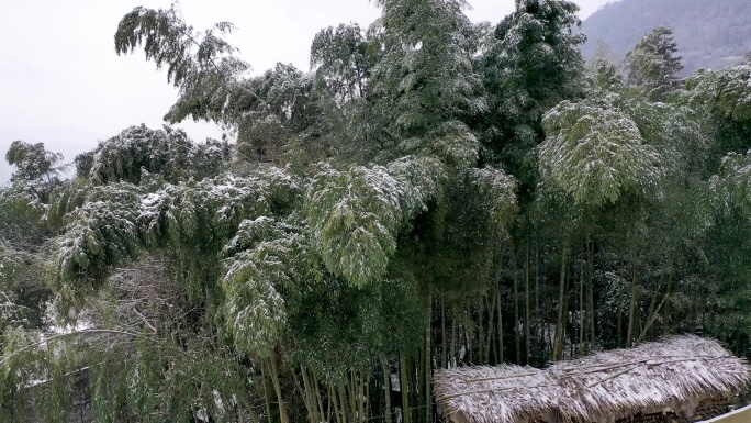 乡村雪景