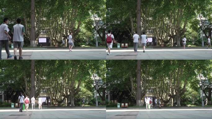 学生在树荫走道下行走