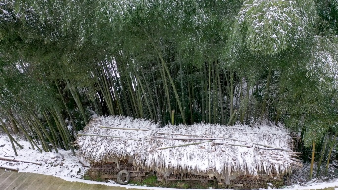 乡村雪景