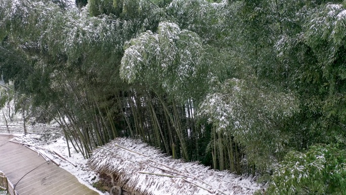 乡村雪景