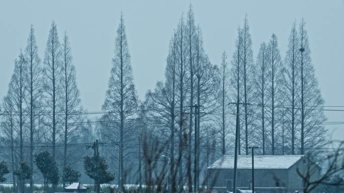 冬天农村下雪慢镜头4K实拍空镜