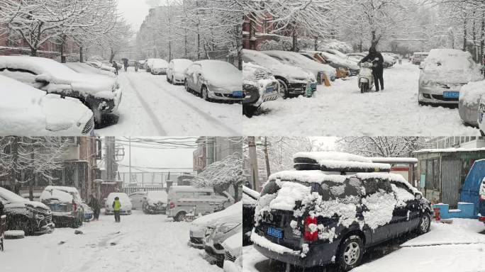 大雪雪景暴雪北京打雪仗