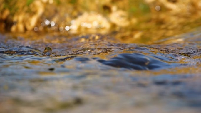 水