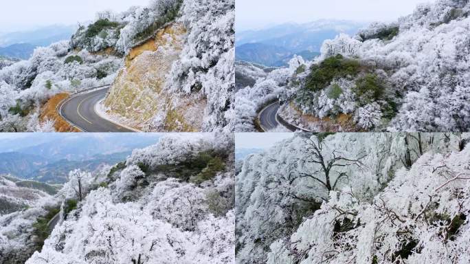 雷公山雾凇