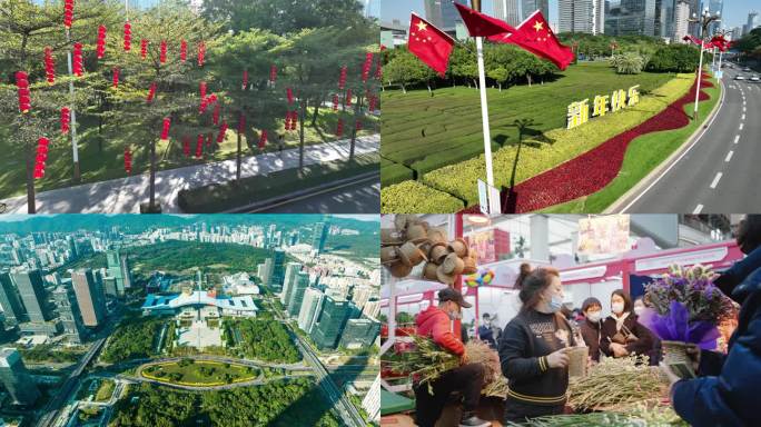 深圳2024春节航拍素材迎春花市素材