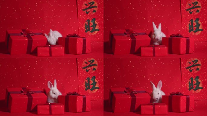 兔年春节 兔子