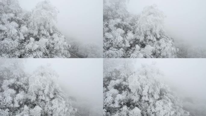 冬季雾凇素材2号