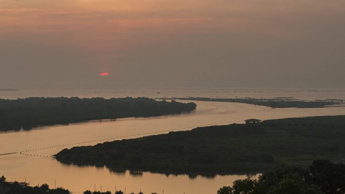 深圳河出水口红树林保护区延时摄影