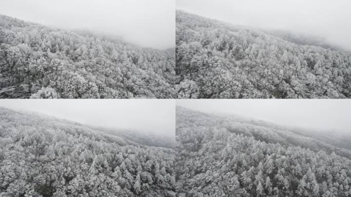冬季雾凇素材4号