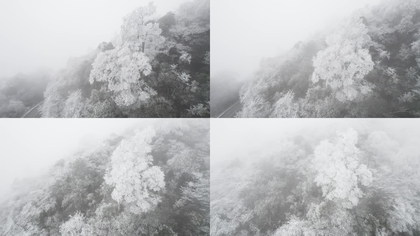 冬季雾凇素材3号