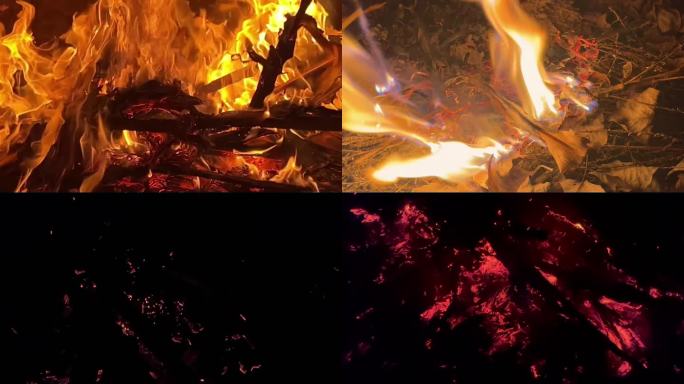 森林火灾 星星之火 森林防火 火焰燃烧