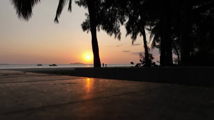 夕阳下芭蕉树海滩