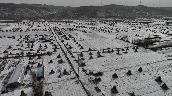 黄土高原雪后包谷地