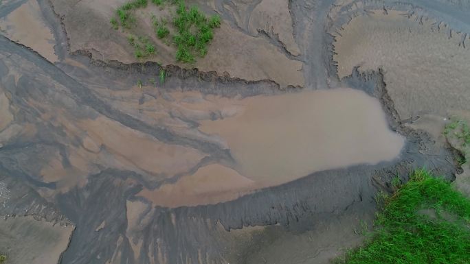 江苏南通小洋口海涂湿地潮汐森林景观