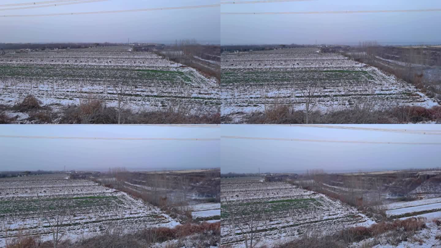 4K高清实拍冬天的田园田野