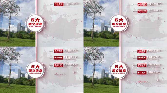 【6】商务红色图文信息分类AE模板包装六