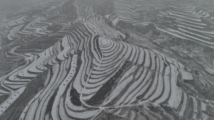 冬季白雪覆盖山川线条明显田野远处连绵雪山