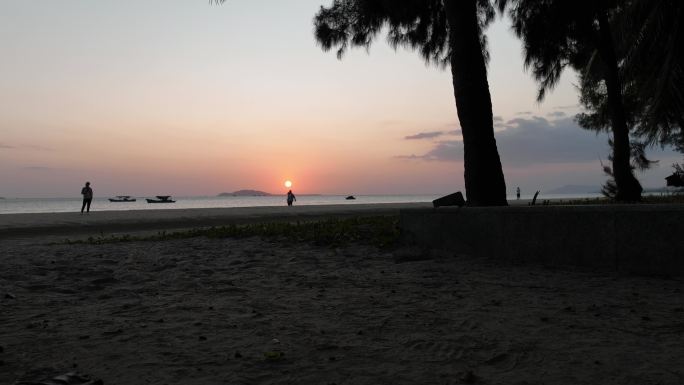 夕阳下芭蕉树海滩延时