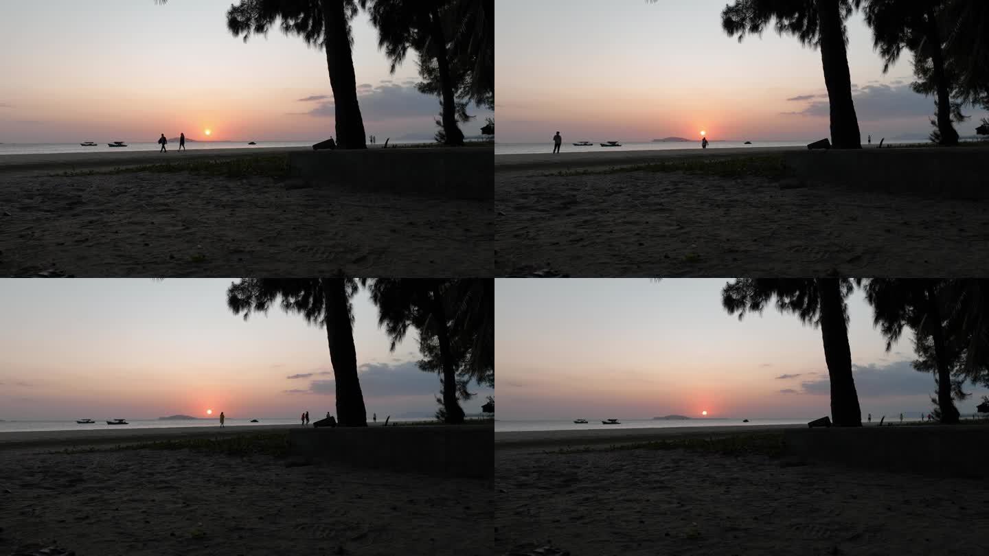 夕阳下芭蕉树海滩延时