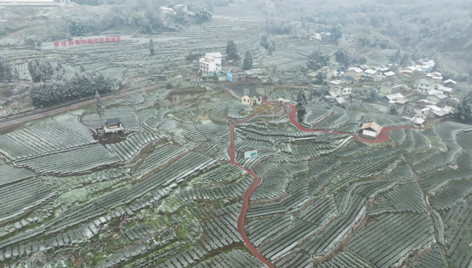 唯美高山生态茶园雪景航拍素材