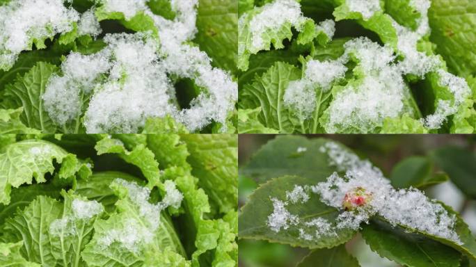 季节变化冰雪融化延时视频素材