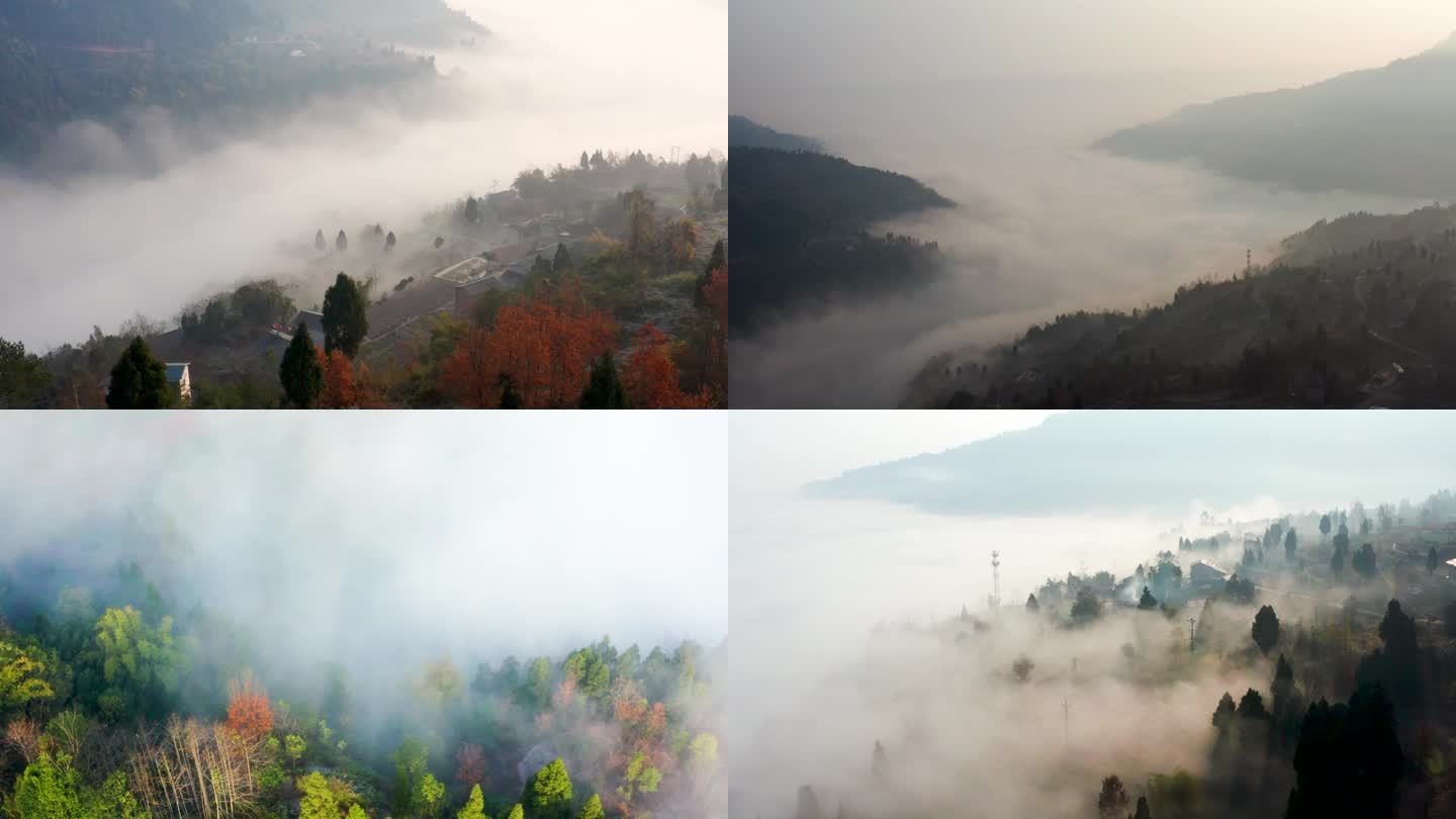 4k航拍山间森林云雾雾气