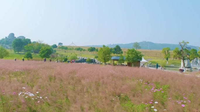 武汉木兰草原风景区小火车和草原风光