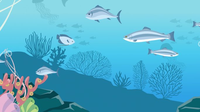 mg动画海洋世界 海底世界水族馆水底探险