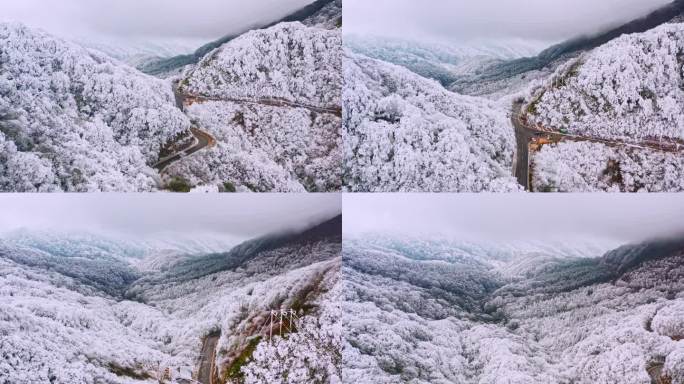 雷公山雾凇