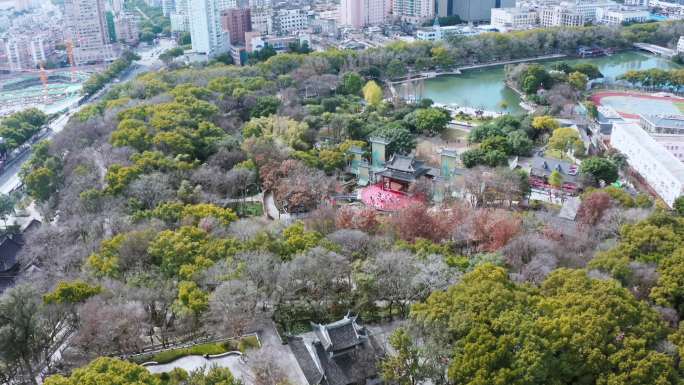 温州净光塔九山公园