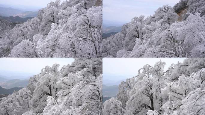 雷公山雾凇