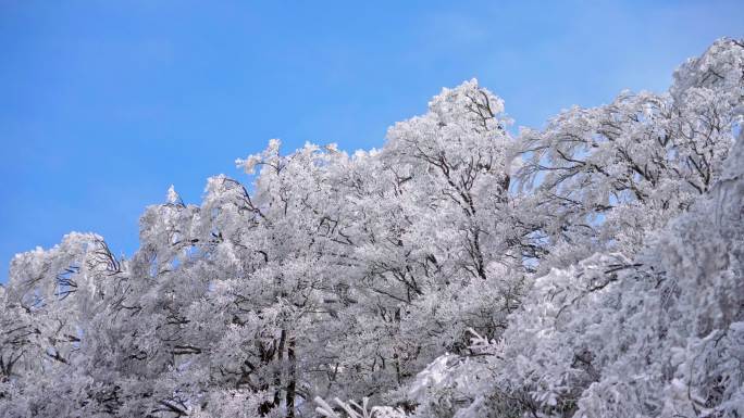 雷公山雾凇