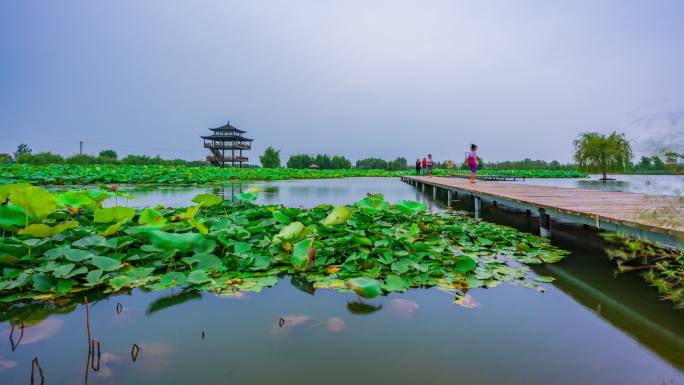 枣庄双龙湖湿地