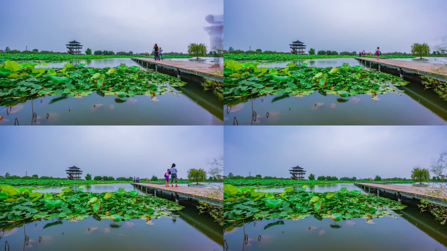 枣庄双龙湖湿地