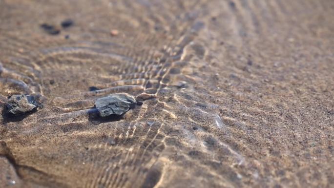 沙滩上的小石头