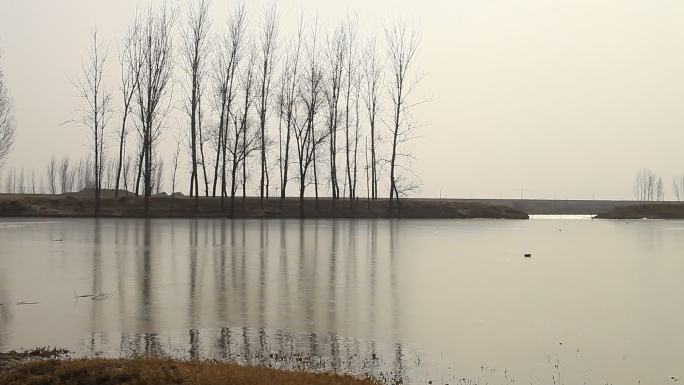 冬季河面水面水中土坝河水渡口树林风光风景