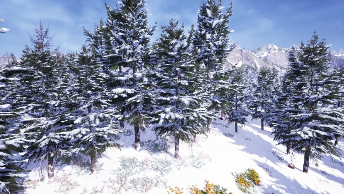 松树雪景360度