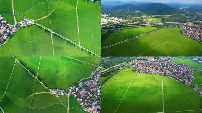 美丽的稻田崖口乡村景色