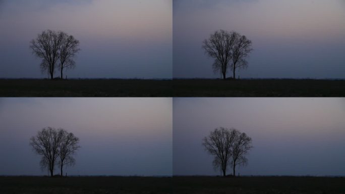冬季黄昏晚景一棵树孤独的站在天地间有意境