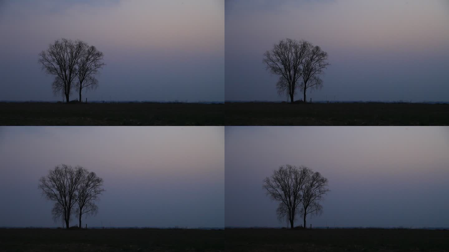 冬季黄昏晚景一棵树孤独的站在天地间有意境