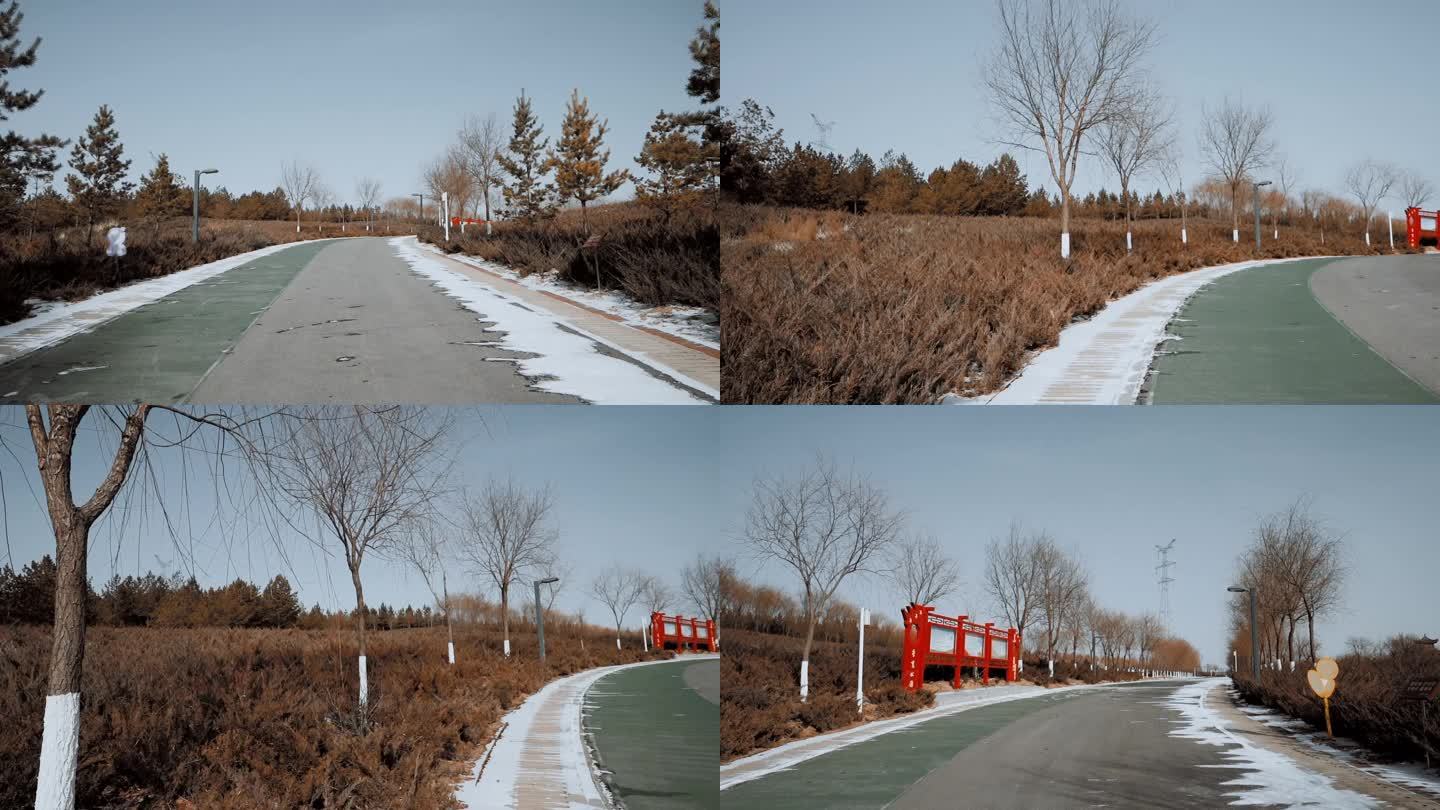 公园道路风景