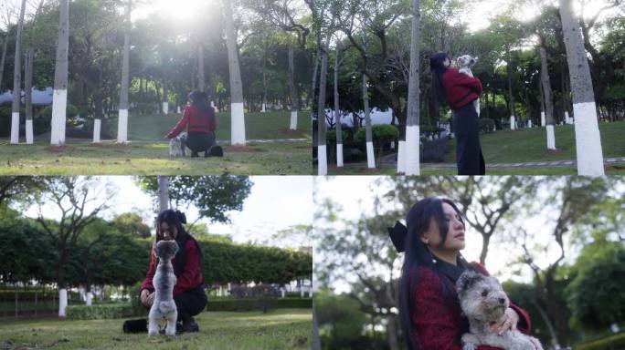 小泰迪犬陪伴少女公园玩耍素材