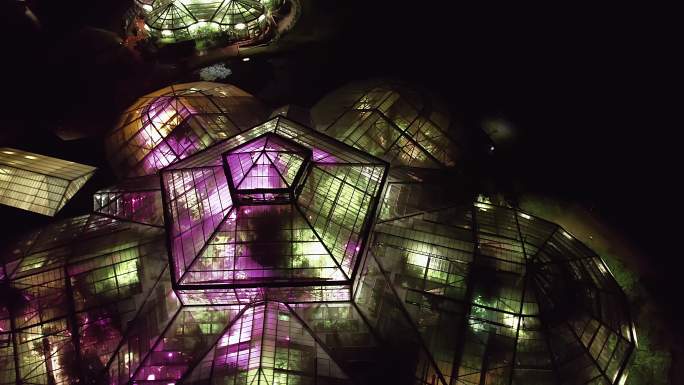 广州华南植物园树木灯光夜景航拍4K视频