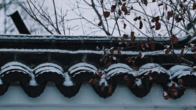 古建园林墙上瓦片积雪雪花