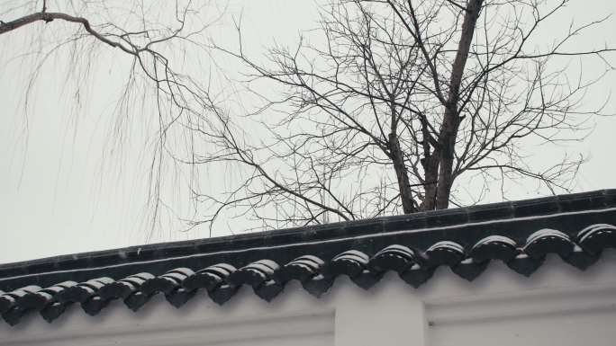 深冬高墙枯树飘雪