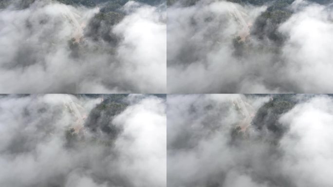 森林 云海 航拍 生态  原始森林