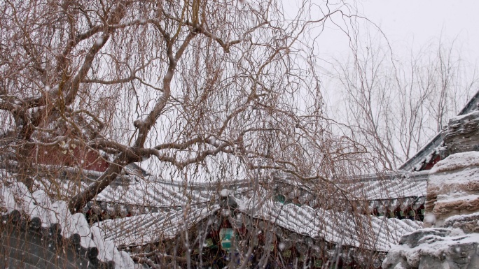 初雪飘落-古建园林枯树飘雪花